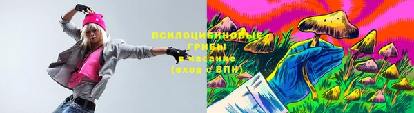 эйфоретик Новодвинск