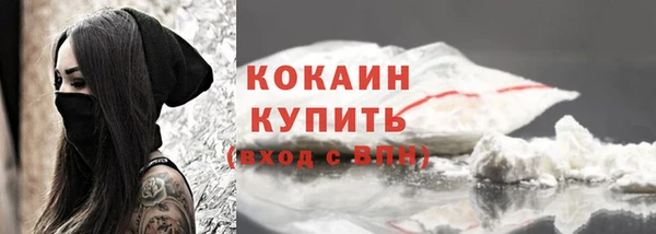 бошки Семилуки