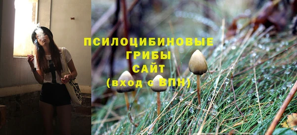 бошки Семилуки