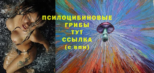хмурый Саяногорск