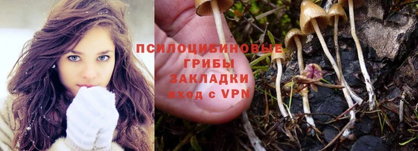 винт Семёнов