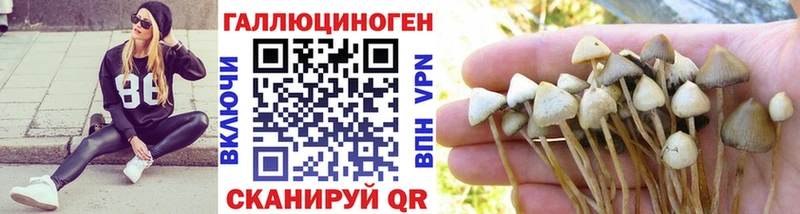 Галлюциногенные грибы Cubensis Снежногорск